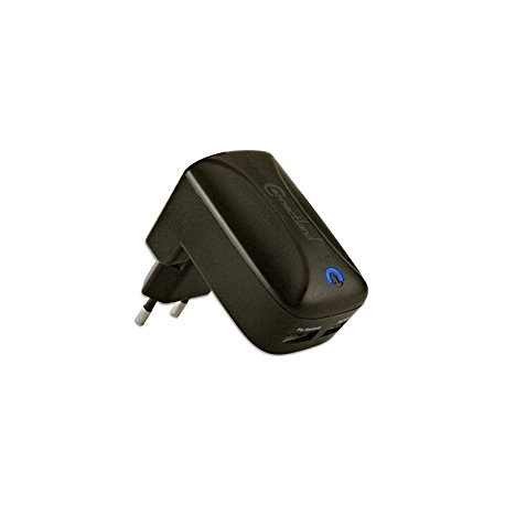 Adaptateur secteur USB 5V 1A/2,1 A Noir
