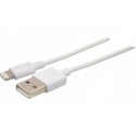 Cordon Lightning vers USB - certifié MFi 0,5M