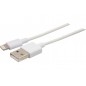 Cordon Lightning vers USB - certifié MFi 0,5M