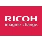 Ricoh SP 201E Toner d'origine noir RICOH 407999