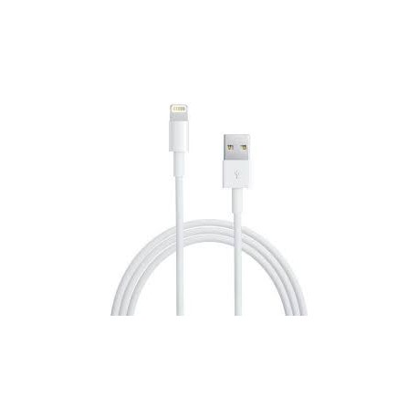 Câble Lightning USB Cable pour iPhone, iPad Air Blanc 2.1A
