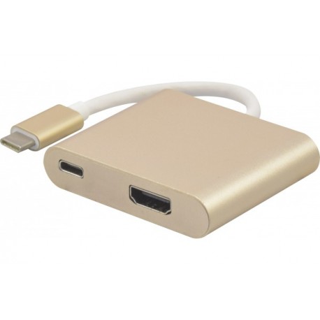 Convertisseur USB 3.1 Type-C vers HDMI 2.0 + PowerDelivery