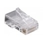 Connecteurs RJ45 non blindés (8P8C) pour téléphonie - lot de 10 pcs