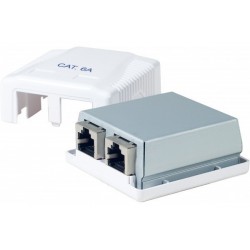 Dexlan boitier mural 2 ports CAT6A