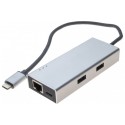 Adaptateur Type-C Gigabit Hub USB 3.1 2 ports Type A + chargeur USB P.D.