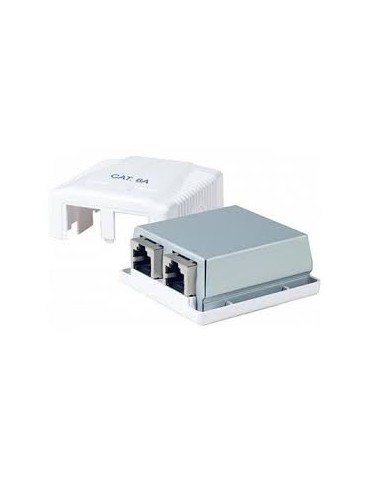 DEXLAN Boîtier mural 2 ports RJ45 CAT 6A STP