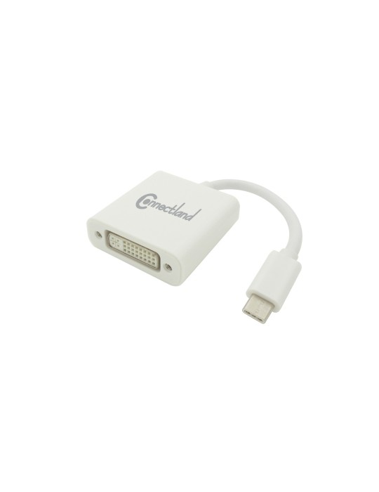 Connectland Adaptateur USB 3.1 type C vers DVI femelle