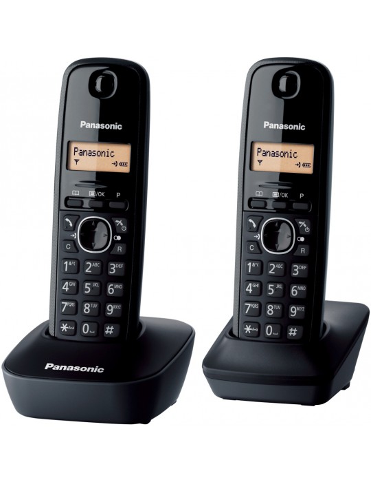 PANASONIC KXTG 1612 FRH  Téléphone sans fil Duo Noir
