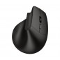 DACOMEX Souris verticale V250-WBT-G sans fil certifiée GRS